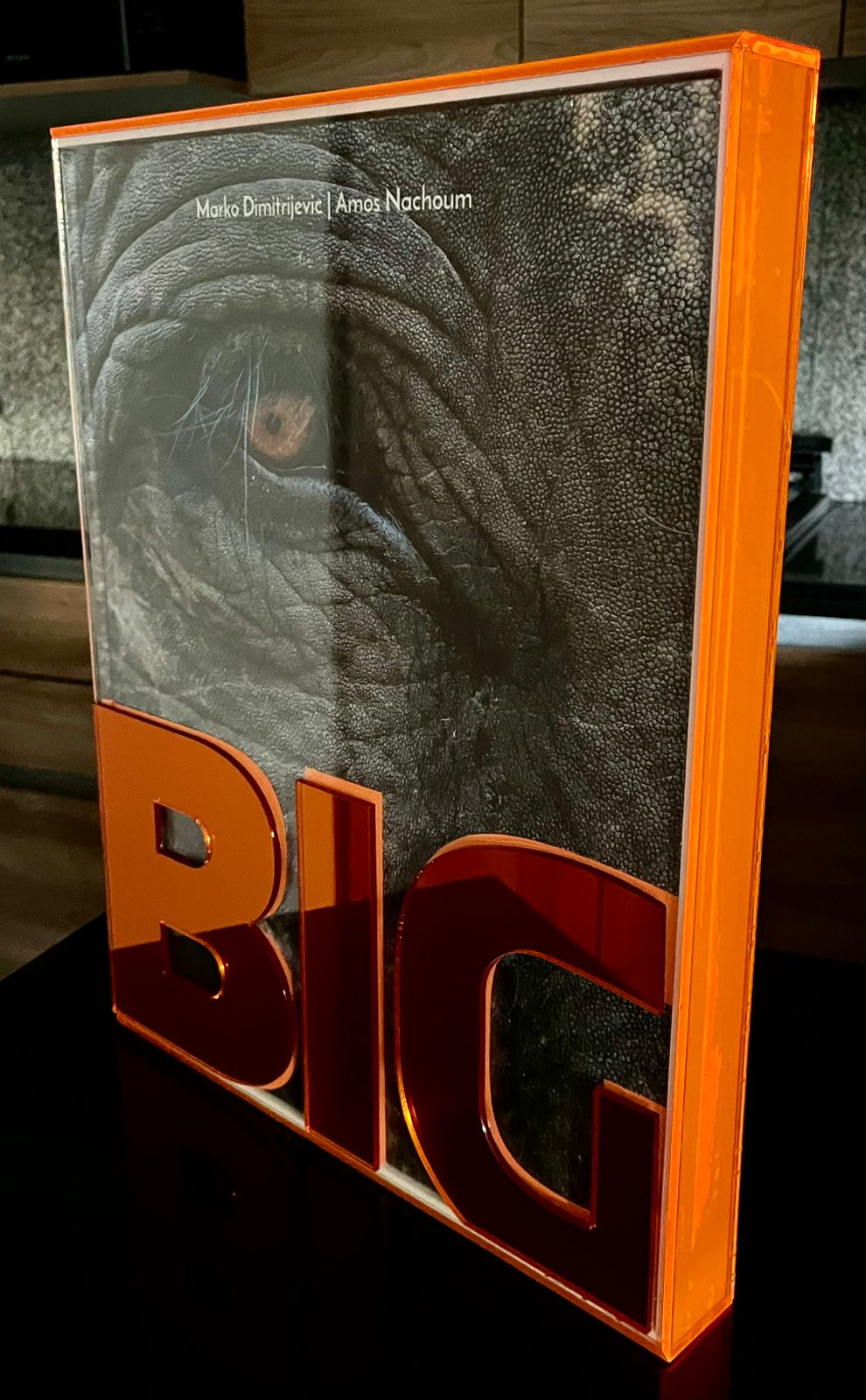 BIG: A Photographic Album of the World's Largest Animals