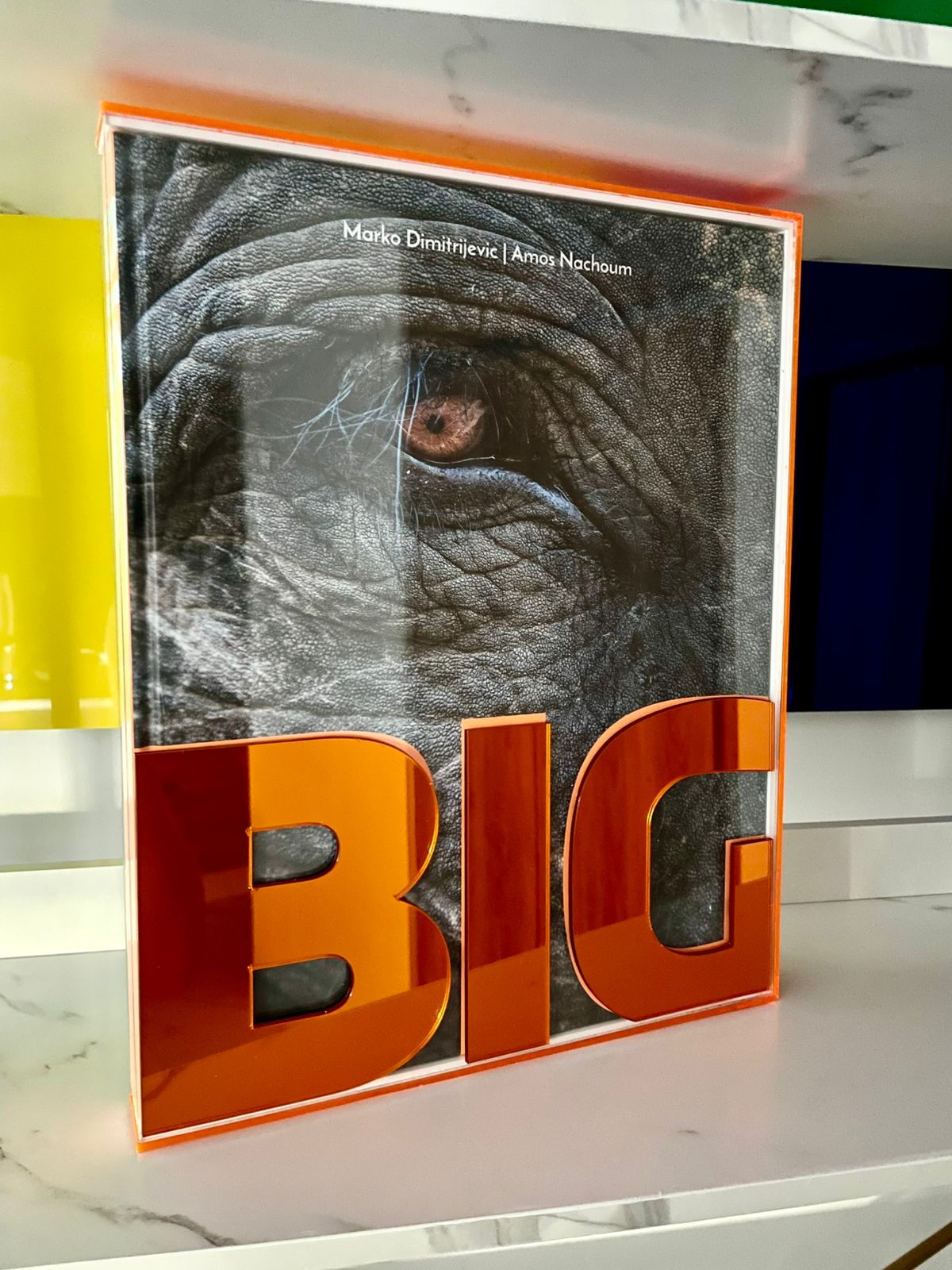 BIG: A Photographic Album of the World's Largest Animals